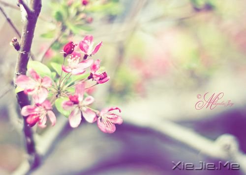 �����ھ;���ʧ��������δ����ôԶ�����ô�� (6)