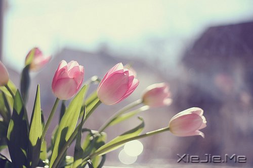 ��һ�����ɣ�ȥ�������� (8)