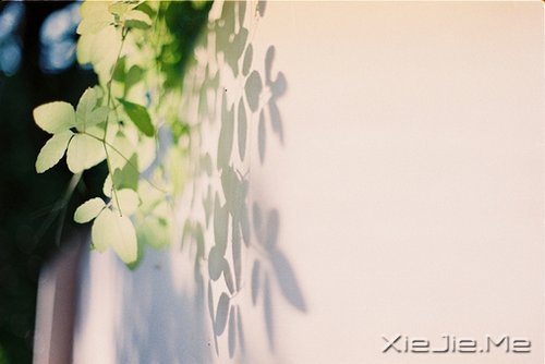 ���죬���ǿ��ƣ����ǿ��� (2)