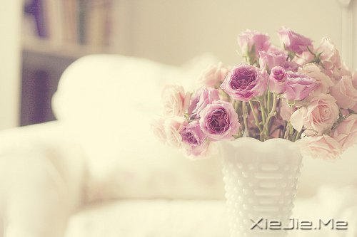 ������һ�ױ��������ĸ裬���Ƕ����Ǹ�������� (6)