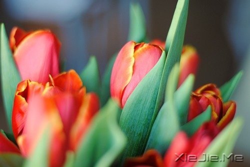 ��Ҫ���ű��˵Ľ�ӡ�����Լ���· (3)