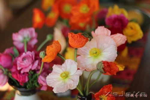 ����Ϊ˭л����лΪ˭�� (8)