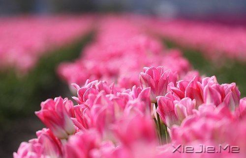 �Ҹ�Ӧ���������ɣ����������ö� (4)