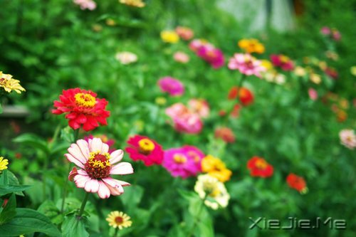 �簲����ù�ȥ�Ķ���ȥ (4)