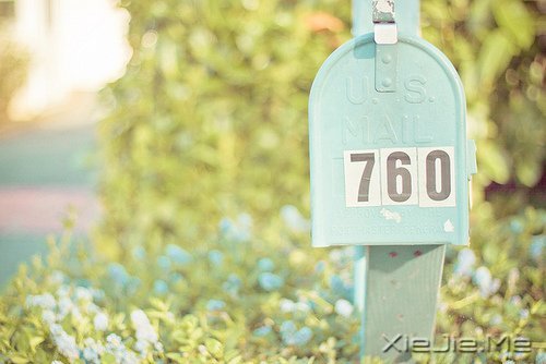 ��������㿴��ʲô�������磬���ӵ��ʲô�������� (12)