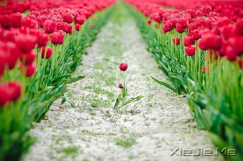 �簲�������ǰ�ߣ��㽫��Զͣ�� (7)