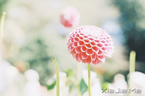 ��������˲������ں�ҹ���������û�й� (9)