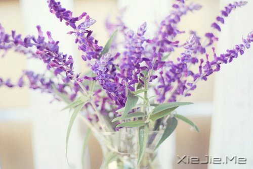 �����������Ҫ�ģ�һֱ�ܼ� (2)