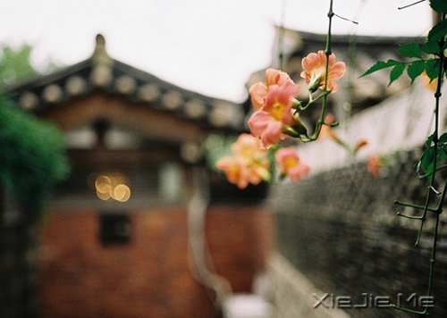 �簲���ʱ���ҧ�ˣ��㲻�߾ͻ������˺� (3)