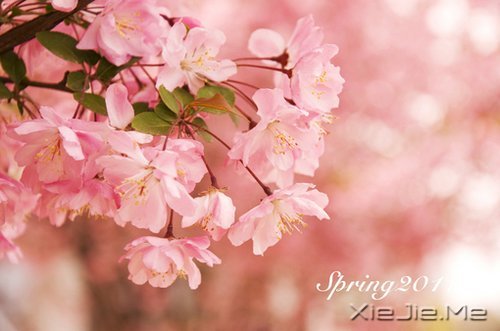 �������������������������� (1)