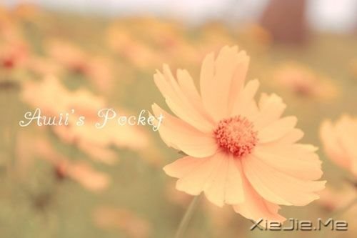 �簲����㿴����̫���ף�������ʧ�����µ����� (7)