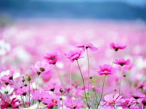 �簲����㿴����̫���ף�������ʧ�����µ����� (10)