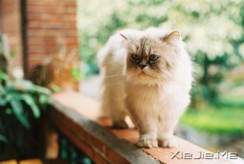 �����������������ǳЦ��Ȼ (7)