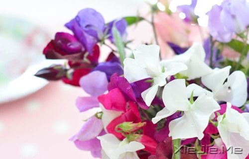 �������Ը���Ϊ�Լ���̫�� (3)