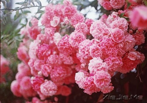 �������Ը���Ϊ�Լ���̫�� (10)