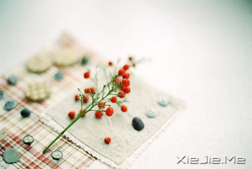 ���������������ˮ�����ĵף��۾�ֻ��һ��СС�ĳ��� (3)