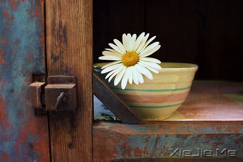 �������������Ҳ������������� (7)