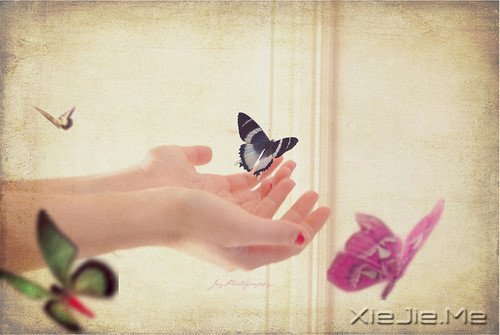 �簲��������������ˣ��Լ����Ƿ羰 (5)