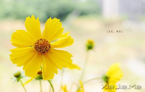 �������������δ��������ʵԶ���������� (5)