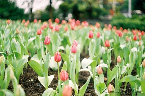 �簲�����Ϊ�Լ����Ϊ���ˣ���������� (5)