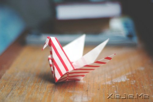 �簲�����Щ���ԣ����������㲻�̽Ҵ� (7)