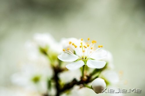 ��������峺����Զ���������ĵ� (3)