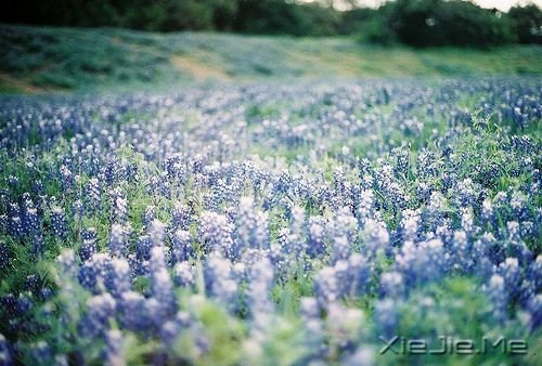 ���������ʲôҲ������������ (2)