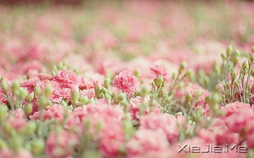 �����������һ�ο���������˲�䳤�� (10)