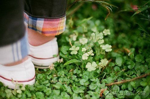 ���������Ϊģ�������δ�����ǣ�ֻΪ�������������Ŭ�� (3)