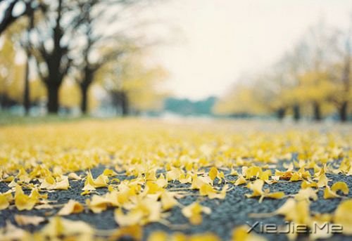 ���������Ϊģ�������δ�����ǣ�ֻΪ�������������Ŭ�� (5)