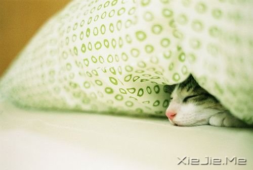 �������û�в��ᵭ�Ị̇�û�в���õ��� (6)