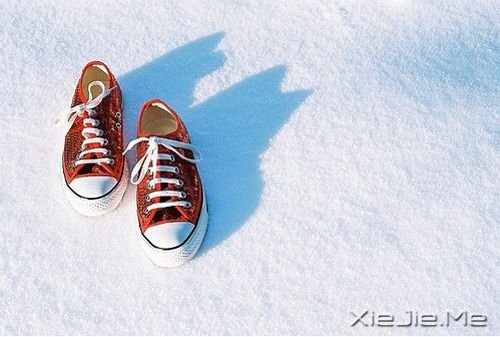 ���������Ц��ȫ�������Ц (3)