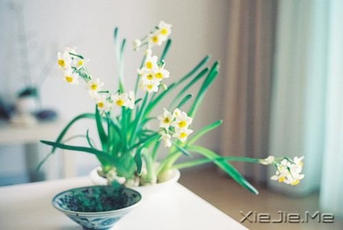 �簲�������Ůһ�����£���ү�Ƕ�һ��˼�� (3)