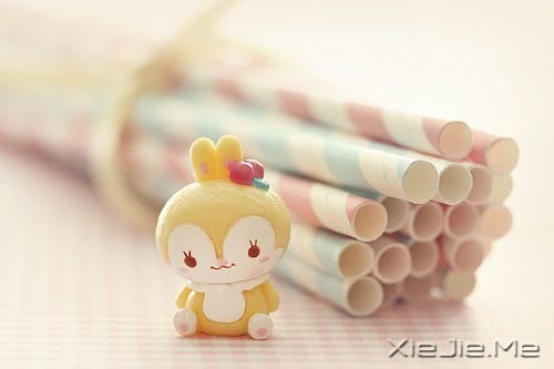 ����һ����Ե�֣�һ���������Ҹ� (10)