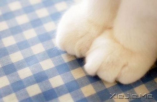 ��ʱ��һ��ʱ�䣬һ�ж����ȥ (5)