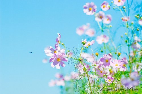 ������¼��������Թ���磬����ı��Լ� (3)