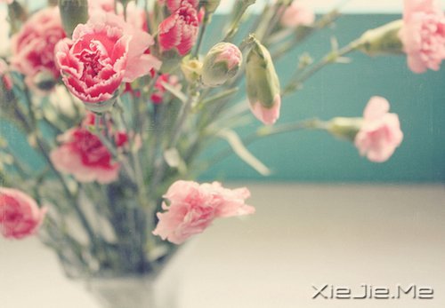 ǧ��Ҫ����������