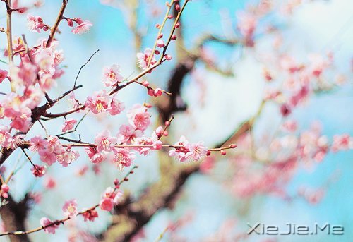 ���������ģ������ǻ� (6)