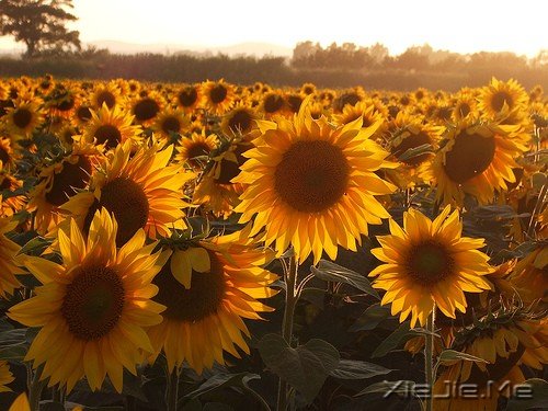 һ�������ˣ�����ȥԶ�� (8)