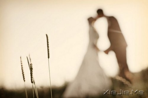 �ʺϻ����õ�ʮ��Ӣ�ĸ��� (3)