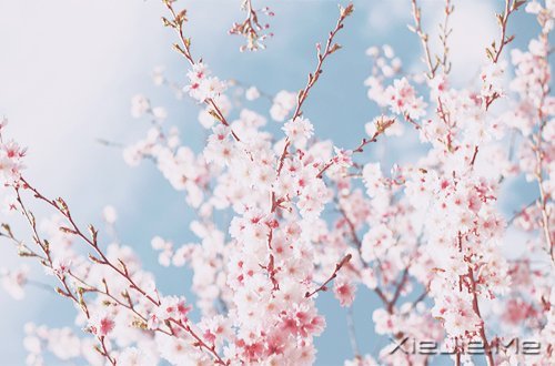 ������Լ���10��Լ�� (3)