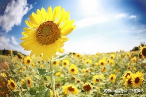 10����ů��Ӣ�ĸ����Ƽ� (3)