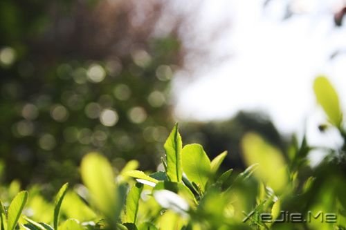 վ��ʱ���·�� (4)