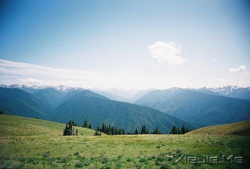 ���������أ��Ϳ����������ı��Լ�������