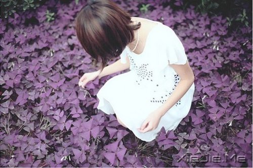 ���֣�ϯĽ������ѡ (8)