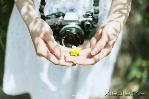 �������������С· (1)