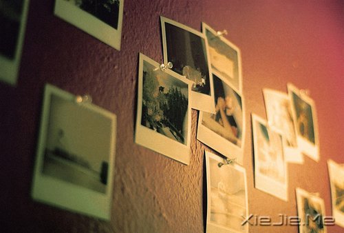 ���֣����������������� (4)