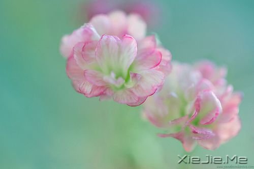 һ����Ӧ�û�����Լ����Ҹɾ�