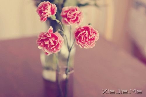 �ˣ�û���κ����ɳ��ٲ���