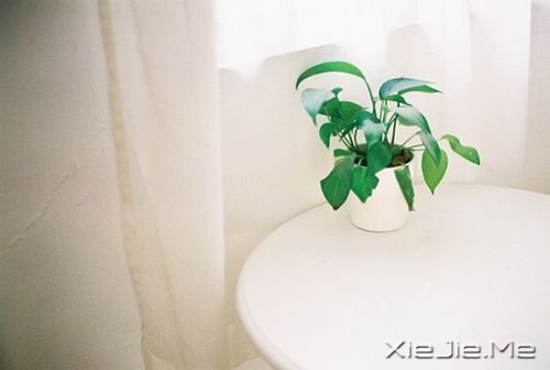 ����ϵͼƬ (1)